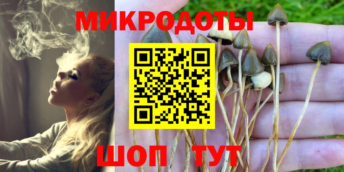 Псилоцибиновые грибы Psilocybine cubensis Шахты